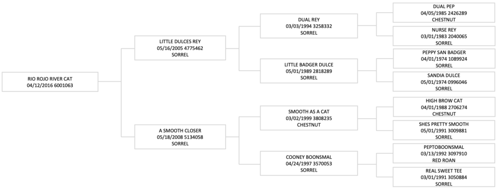 Three-generation pedigree chart for the 2016 sorrel horse Rio Rojo River Cat, listing sires, dams, birthdates and registration numbers