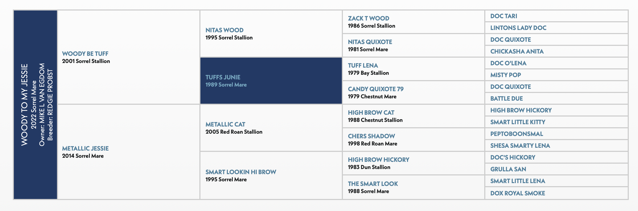 Five-generation pedigree chart for 2022 sorrel mare Woody To My Jessie, by Woody Be Tuff out of Metallic Jessie