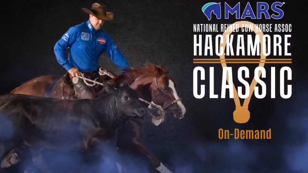 Tyler Merrill Guides Life By The Drop to the Top at the 2026 NRCHA Hackamore Classic