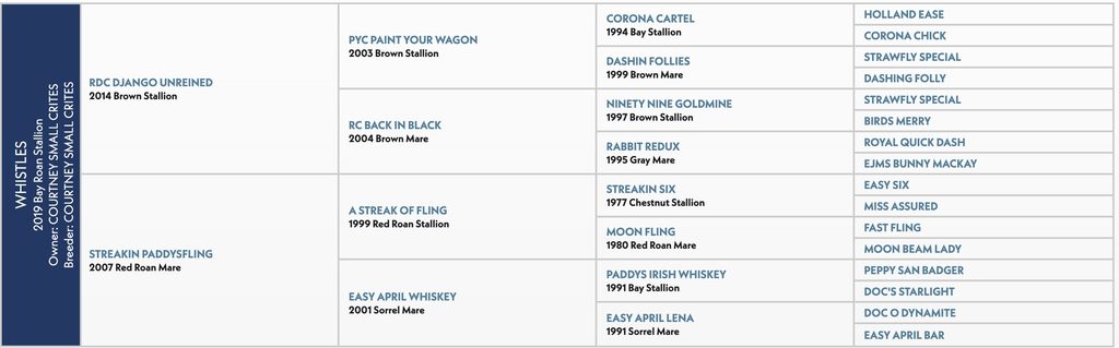 Five-generation pedigree chart for Whistles, a 2019 bay roan stallion by RDC Django Unreined out of Streakin Paddysfling