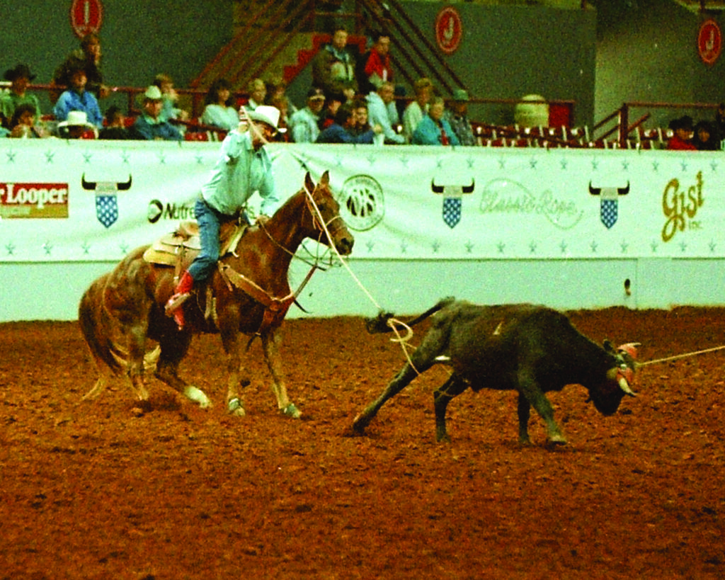Roper on horseback dallies rope around saddle horn while steer runs across indoor arena dirt during roping event