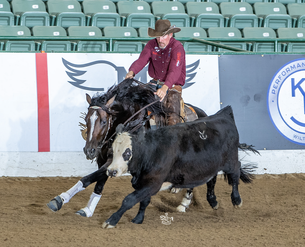 Cowboy in maroon shirt and brown hat rides a dark horse with white face markings during a ranch sorting competition in an indoor arena