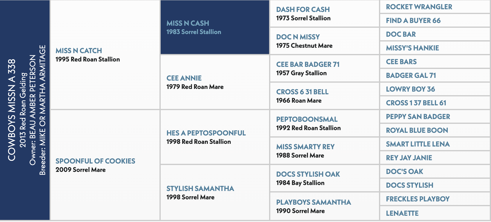Five-generation pedigree chart for Cowboys Missn A 338, a 2013 red roan gelding, with Miss N Cash highlighted