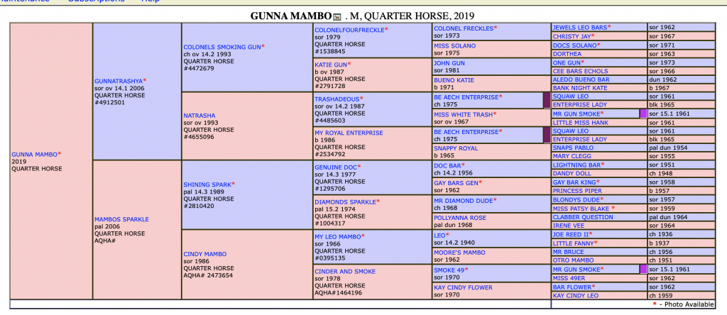 Warken Family Puts Horsemanship First With Big-time Results—including 2023 Royal Crown Title