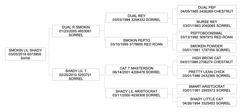 Four-generation pedigree chart for Smokin Lil Shady, a 2018 sorrel, tracing sires and dams back to Dual Pep and High Brow Cat