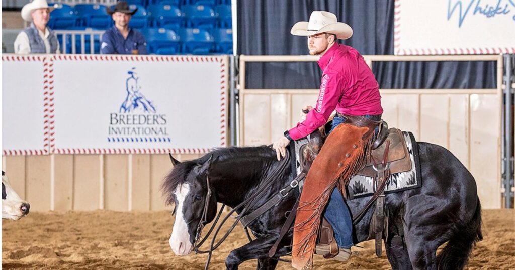 Cowboy in a pink shirt and leather chaps works a black horse low to the ground in an arena at the Breeder's Invitational