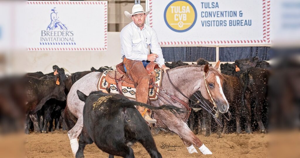 Cutting horse rider in white hat and chaps works a black steer on a red roan at the Breeder's Invitational in Tulsa