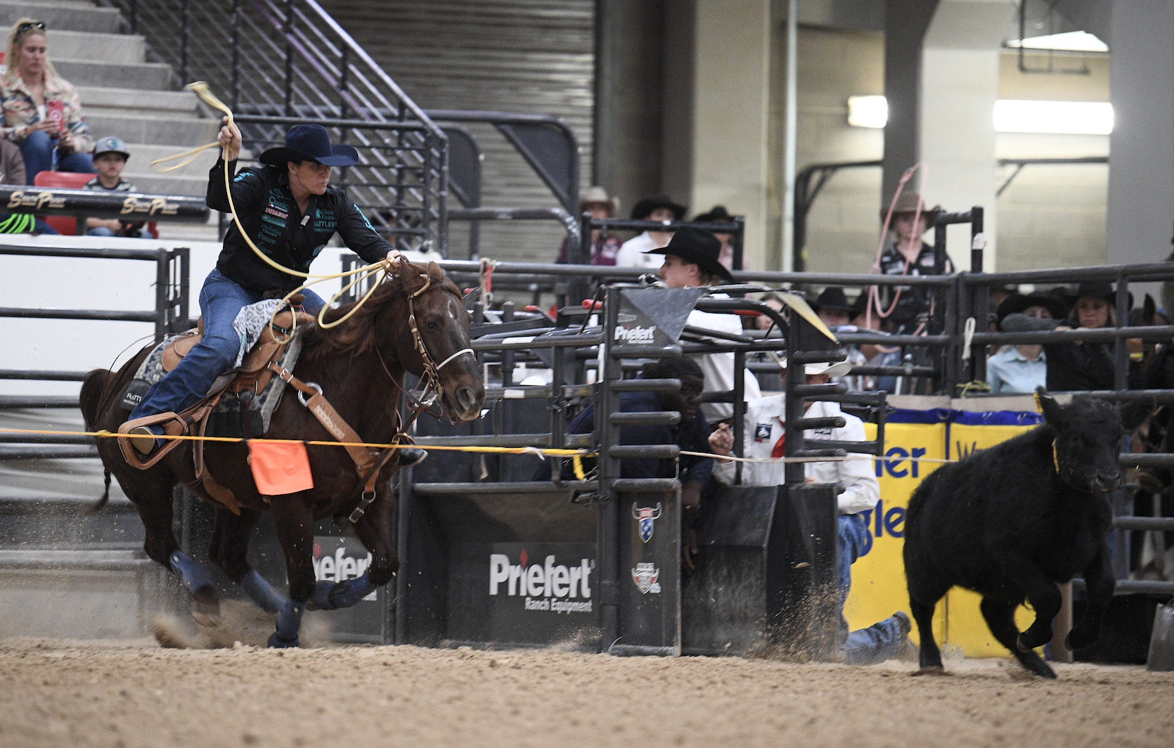 In this photo from the 2023 NFBR, you can see how the calf is about to break it's neck rope, which triggers the rope barrier release. Kelsie Domer is experienced at timing the barrier release with coming across the line, so not a moment is wasted.