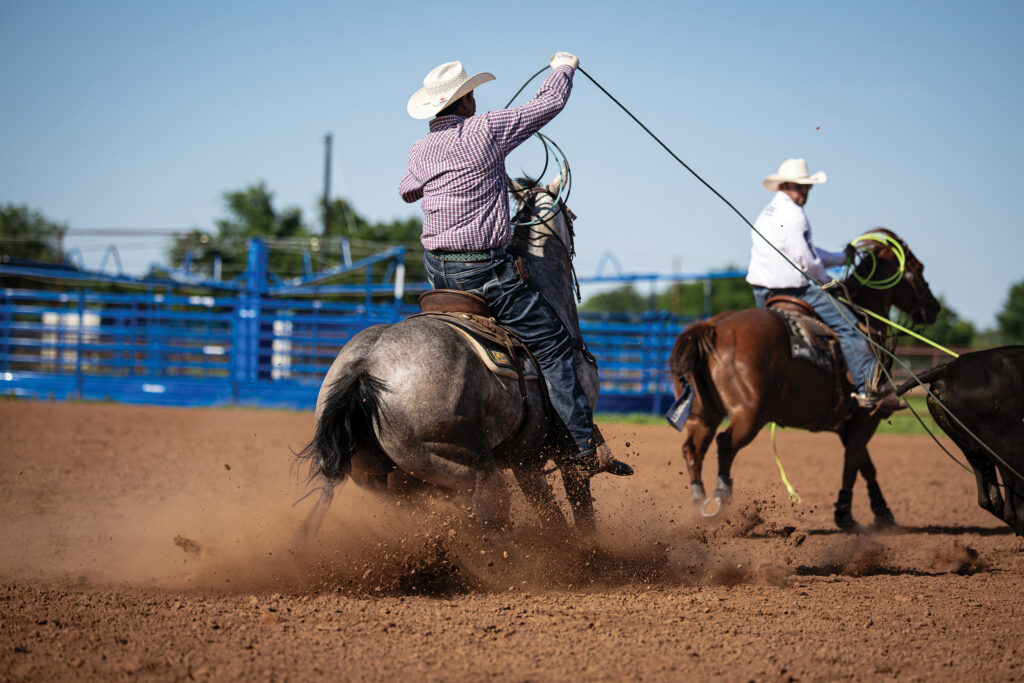 Team roping header on a gray roan sits back on his rope as his heeler works a steer in a dusty arena