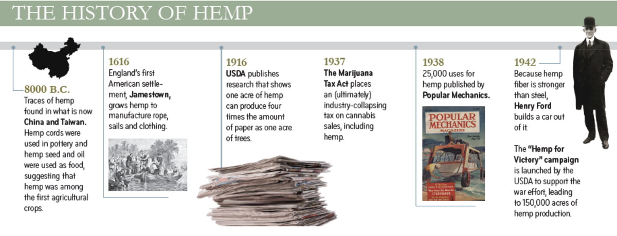 "The History of Hemp" timeline graphic tracing hemp use from 8000 B.C. China to the 1942 Hemp for Victory campaign