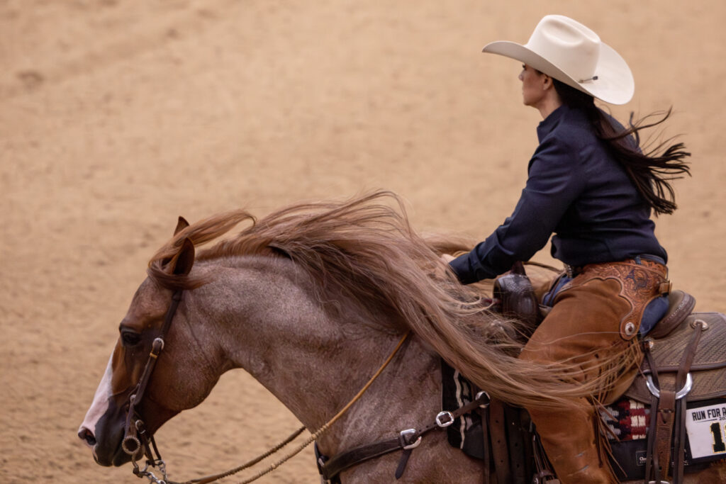 Rider in white cowboy hat and leather chaps guides a red roan horse whose long flaxen mane flies in the arena wind