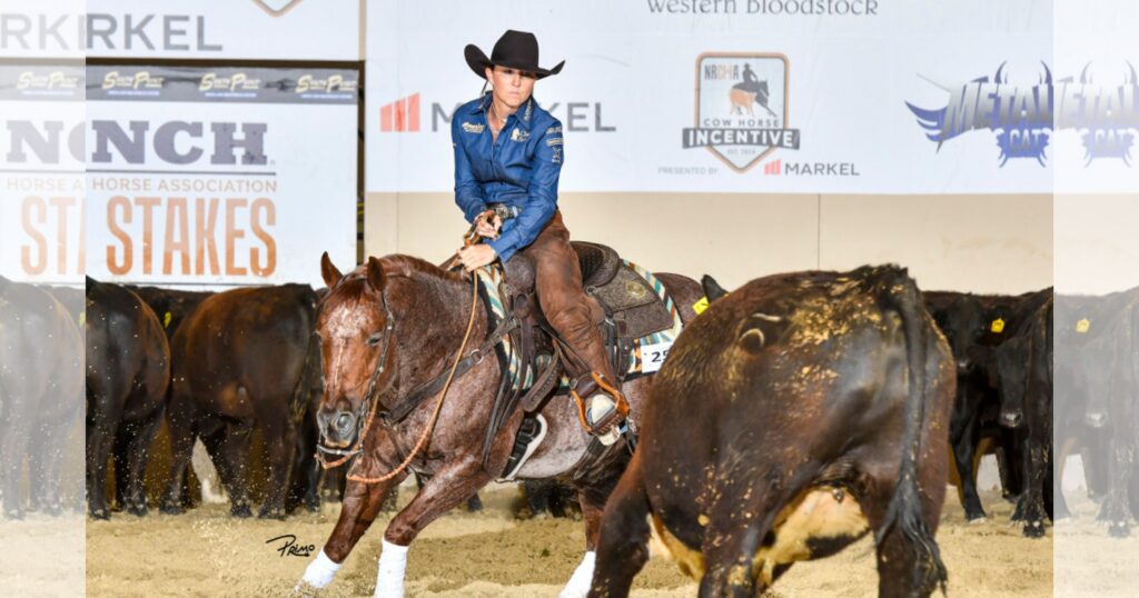 Rider in a black cowboy hat and blue shirt works a cow on a roan horse during a cow horse class in an indoor arena