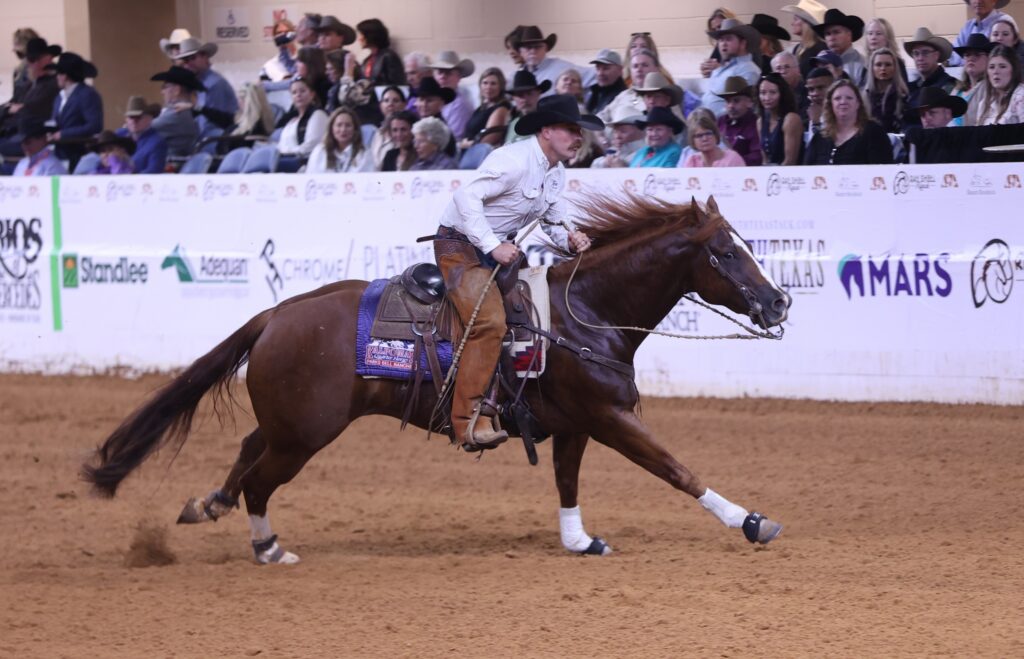 Reining rider in black hat and chaps slides his sorrel horse to a stop in the arena dirt as spectators watch from the stands