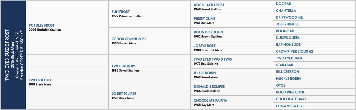 Five-generation pedigree chart for Two Eyed Suzie Frost, a 2016 black mare, listing sires and dams back to Two Eyed Jack