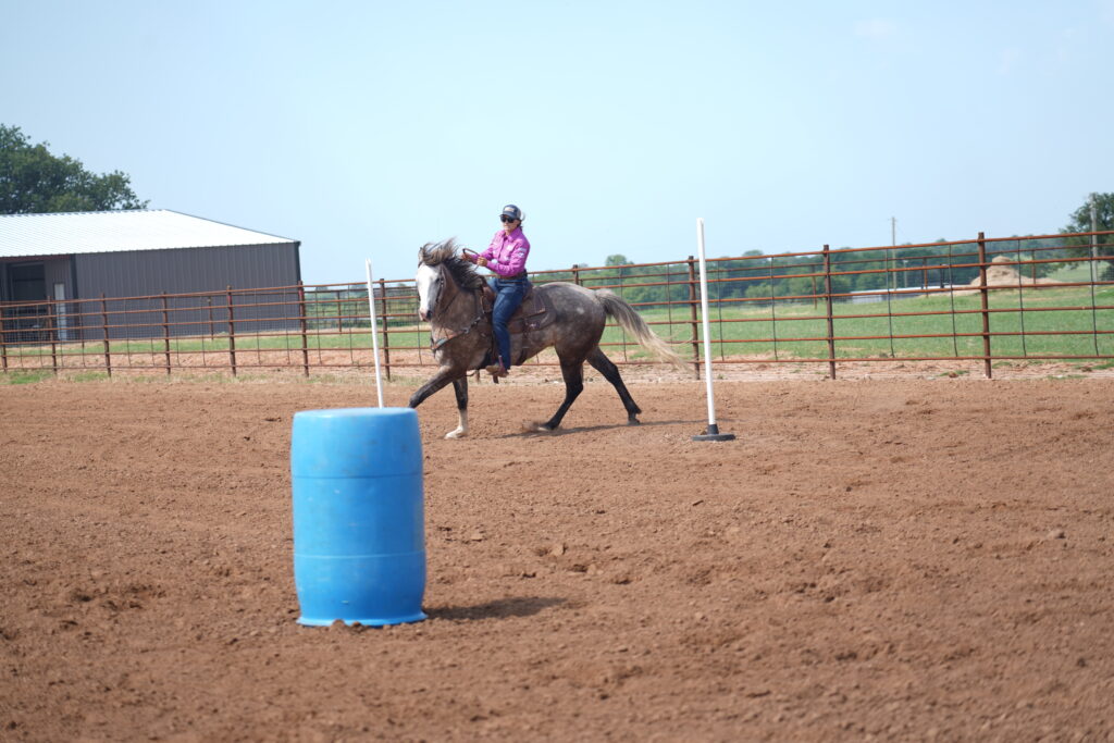 Rider in a pink shirt and helmet trots a gray horse past poles and a blue barrel in a dirt arena