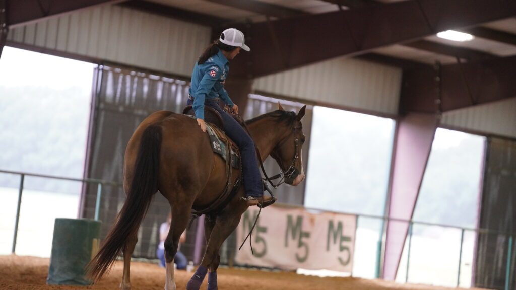 Rider in a teal shirt and white cap works a sorrel horse at a walk inside a covered arena with M5 banners