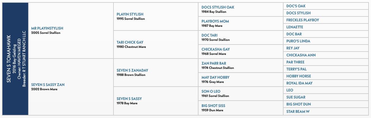 Five-generation pedigree chart for Seven S Tomahawk, a 2016 bay gelding, listing sires and dams by name, year and color