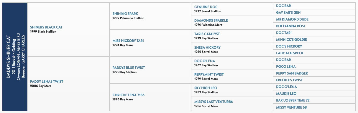 Five-generation pedigree chart for Daddys Shiner Cat, a 2011 buckskin gelding, listing sires and dams by name, year and color