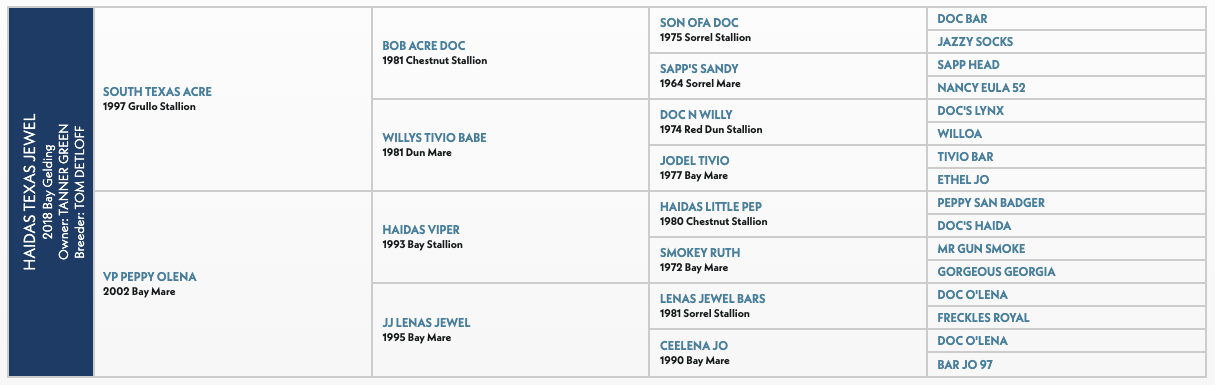 Five-generation pedigree chart for Haidas Texas Jewel, a 2018 bay gelding, listing sires and dams including South Texas Acre and VP Peppy Olena