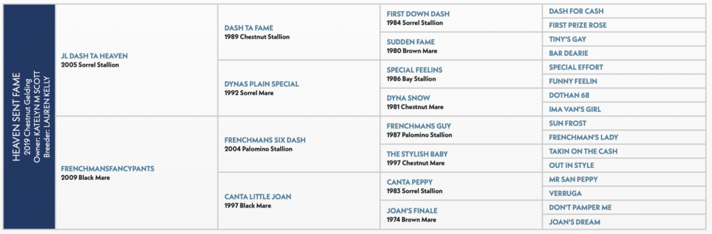 Five-generation pedigree chart for a 2019 chestnut gelding tracing to Dash Ta Fame and Frenchmans Guy