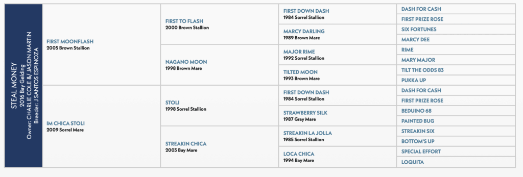 steal money horse pedigree