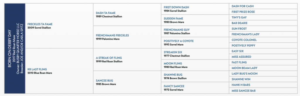Five-generation pedigree chart for Born On Derby Day, a 2017 red roan mare, tracing sires and dams back to Dash For Cash