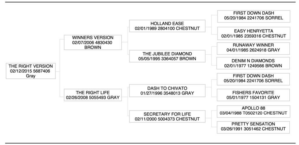Three-generation pedigree chart for gray 2015 mare The Right Version, tracing back to First Down Dash and Runaway Winner