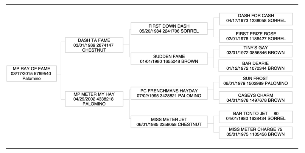 Three-generation pedigree chart for palomino MP Ray of Fame, tracing sires and dams including Dash Ta Fame and Dash For Cash