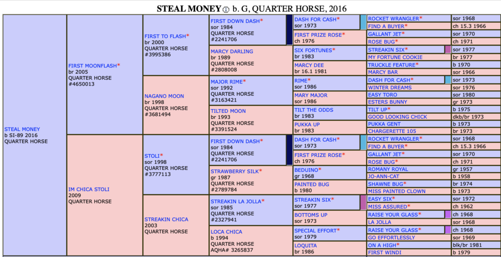 Five-generation pedigree chart for Steal Money, a 2016 bay Quarter Horse gelding, listing sires and dams in color-coded boxes