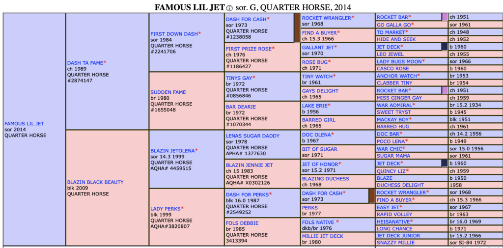 Famous Lil Jet pedigree