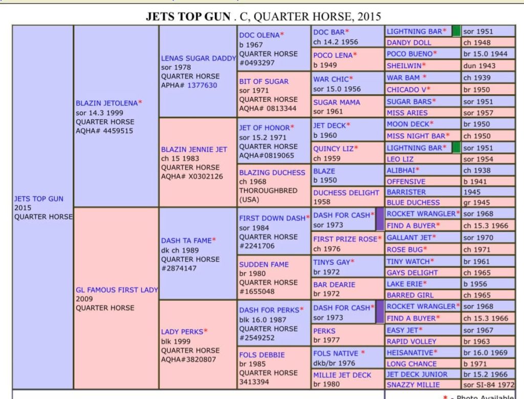 Jets Top Gun Pedigree