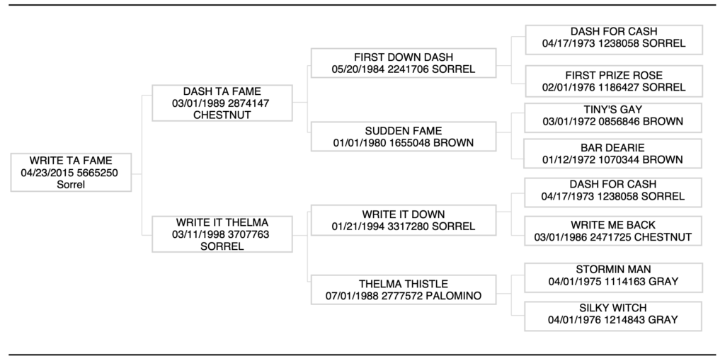 Three-generation pedigree chart for the 2015 sorrel Write Ta Fame, tracing to Dash Ta Fame, First Down Dash and Dash For Cash