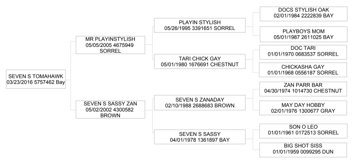Four-generation pedigree chart for Seven S Tomahawk, a 2016 bay, listing sires, dams, foaling dates and registration numbers