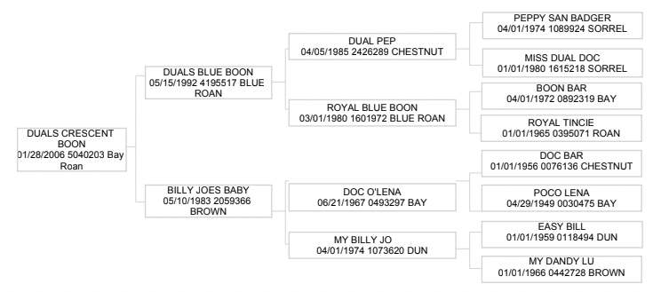 Four-generation pedigree chart for Duals Crescent Boon, tracing sires and dams including Dual Pep, Doc O'Lena and Doc Bar
