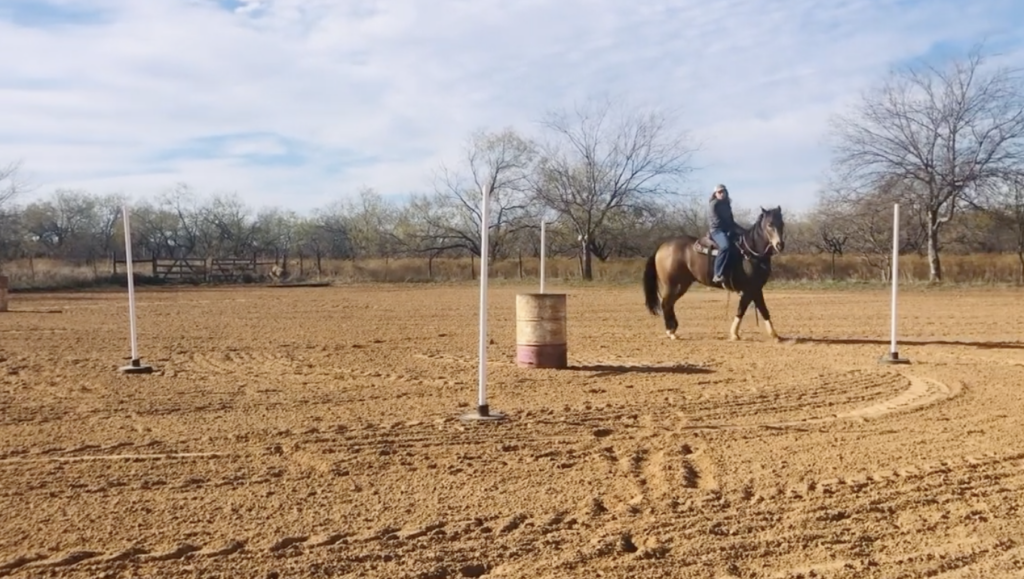 Rider in a cap trots a dark bay horse past a metal barrel and pole-bending poles in a groomed dirt arena
