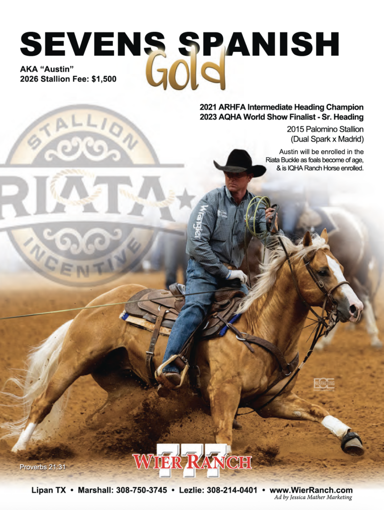 Cowboy on palomino horse performing heading maneuver in arena dirt at Wier Ranch