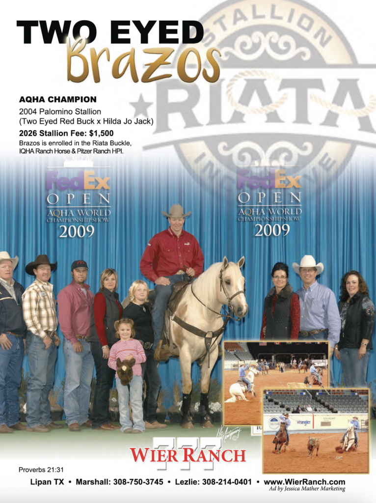 Two Eyed Brazos, a 2004 Palomino stallion, stands with a group at Wier Ranch after winning at the 2009 AQHA World Championship Show