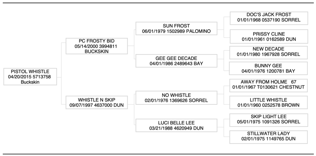 Pistol Whisle horse pedigree