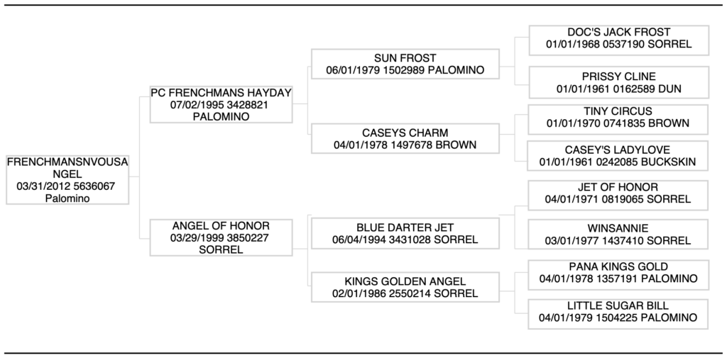FrenchmansNVousAngel pedigree