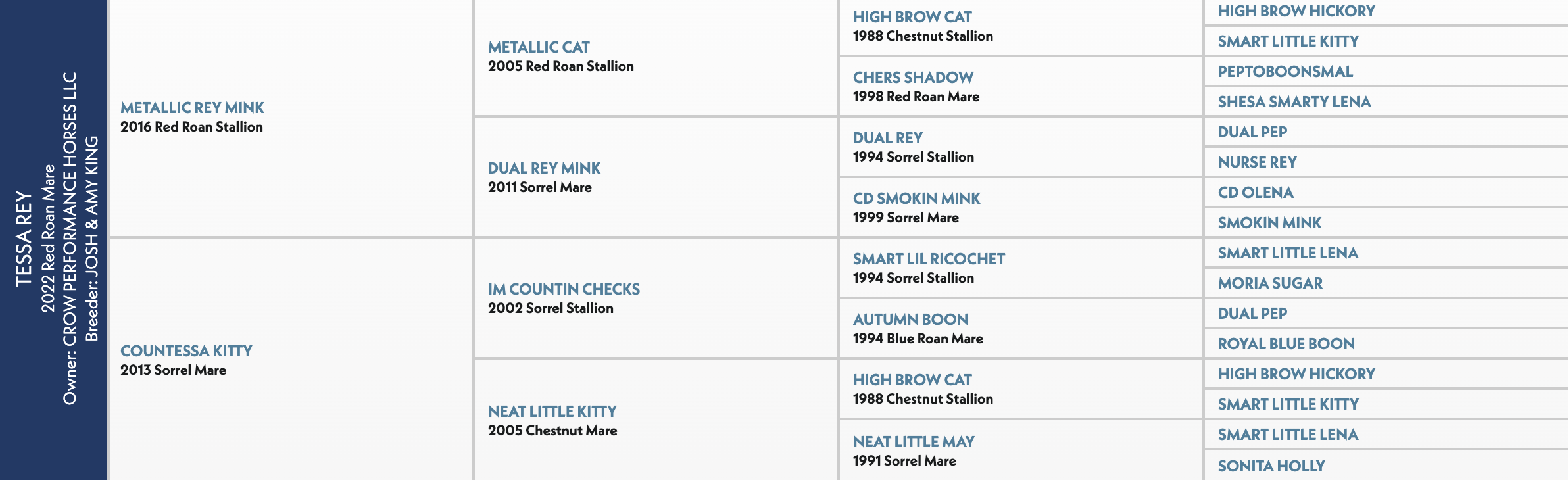 Five-generation pedigree chart for Tessa Rey, a 2022 red roan mare by Metallic Rey Mink out of Countessa Kitty